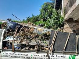 Best Basement Cleanout  in Ford City, CA